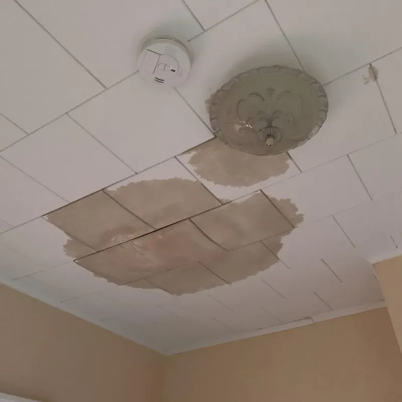 Ceiling Water Damage Repair in Huguenot, NY